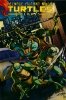 TEENAGE MUTANT NINJA TURTLES HEROES HC [9781613779248]